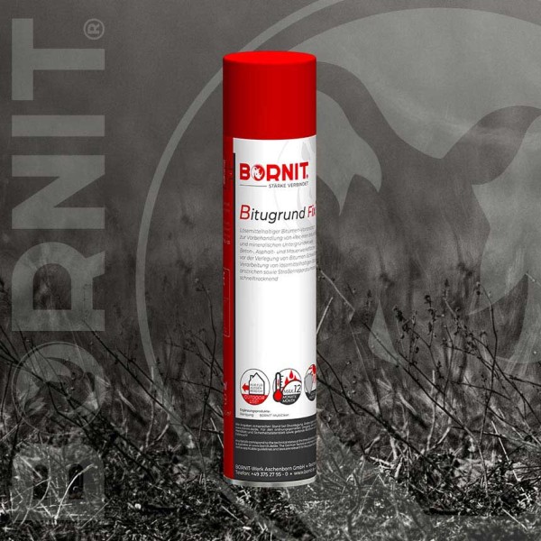 Grundierung Bornit Bitugrund in der praktischen Spraydose mit 360^ Kippwinkel